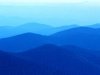 7일 명동 프리허그 후기 <b>re</b>