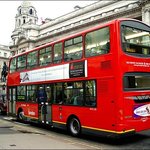 ★펌★ 세계의 미스테리한 이야기들