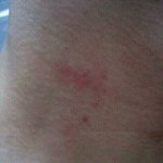 [카톡有](사진有) ★★★★★★제발봐주세요..알바 사장님이......