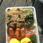 ㅋㅋ친구랑도시락싸서동물원다녀왔어용!!(사진有)