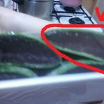 알로에보관법 !언니들언니들!이리온나 ㄴ ㅏ좀도와져 알로에보관법 ...