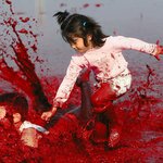 나 네이트 판 총통 <b>사무</b>라이다 씨11발것들아