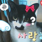 눈<b>정화</b> 하기