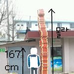★☆★사진有))피자의사탑  ★☆★