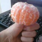 <b>겨울철</b> 귤먹을때 공감 ㅋㅋㅋㅋ사진有