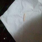 <b>kf</b>#이래도 되는 건가요?