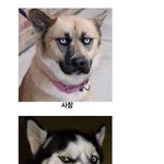 <b>직급</b>별 모습...