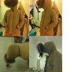 패션왕 우기명 따라했습니다★☆★☆★☆★☆