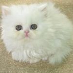 ★★★(스압,빡침주의)!! 초 일찐선생님!!! ★★★