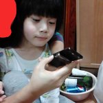 ☆★☆★☆(사진有 수정) 사귀고 싶은 내동생☆★☆★☆