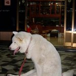 ★★★충격연예인 <b>a양</b> (톡퇴면 실명공개) 충격과진실...★★★★★