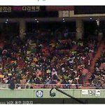 ★★★★★★★달샤벳도 팬이란게 있썻네요(모든 팬덤 必讀)★★★★★★★