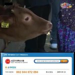 구하라 엉덩이 만진놈 사진이랑 신상 다<b>털</b><b>림</b>..'경악'