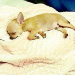 ▶▷개판 - 사진有- 스압...주의! 나는 콩이다 !