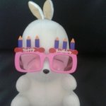 인형의 깜찍한 변신