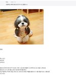 ★★★[펌]초등학교 4학년때 반 친구가 쓴시(븨지엠有)★★★