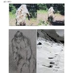 미스테리 ) 세계3대 괴<b>생명체</b>(고전자료) ★★