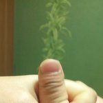 갤2홈버튼 싱크로100% 내 엄지손톱(사진有)