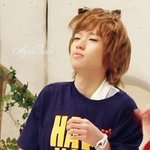 <b>족보</b>정리..