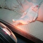 아아아아<b>춥다</b>..ㅠㅠ