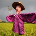 사진有) 동생들 이런 오빠 어떄? 선물할껀데!