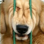 일본식 이름짓기