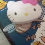 ☆★이것이야말로 진정한 키티의<b>진리</b>☆★