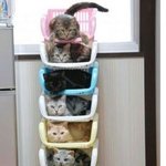 개그를 즐기는 사람=개거스 14탄 (펌<b>자료</b>)(스압주의)