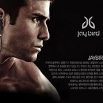 필수아이템! 제이<b>버드</b> 무선이어폰을 아시나용?