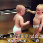 바나랑 비원에이포까시는분