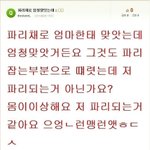 ★★★★★웃기는 댓글 모음 5탄★★★★★