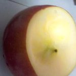 <b>사진</b> 有) 사과한테 사과해.<b>jpg</b>