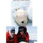 (사진,동영상有) ★☆너무귀여운<b>하프</b>물범들을도와주세요☆★
