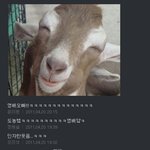 ★★ 빅뱅 태양군 여기서 이러시면 <b>곤란</b> ★★