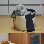 ★☆사촌동생이 홈쇼핑에 나왔어요 사진有★☆