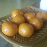 오늘 난 <b>신급</b>이 되었습니다.