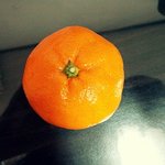 귤 속 파내는거 뒷북이죠? 알아요. 그래서!