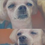 판왜<b>난리남</b>?