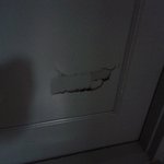 ★★★★(사진有)저에세 왜 이런 시련을.....★★★★