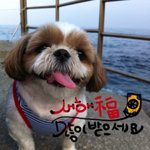 뭉치의 사생활(사진이 많은건 아니죠?)