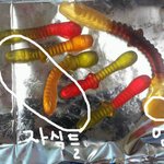 ★★★(수정)(사진有느님) 8살차이 귀요미 내남친★★★