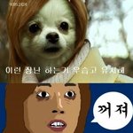 근데 슈주 팬클럽이 왜 <b>엘프</b>임?