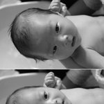 쌍둥이지만  다른외모의 제<b>조카들</b>을 소개 합니다 ^-^