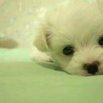 ★★★2번째 제 얼굴<b>평가</b>좀여.ㅎㅎ★★★