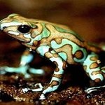 세상에서 가장 무서운 <b>동물</b>