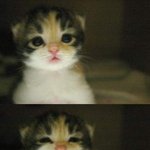 <b>화인</b>쿨의 설움