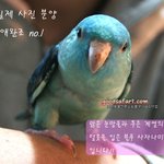안흔한 저의 펫을 소개합니당~~~~