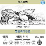 하프물범이 멸종위기라면서요? 얼마나 남았찌 잉잉 ㅜㅜ