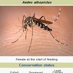 하프물범 멸종설에 이은 충격적인 사진..