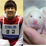 <b>성규</b> 도플갱어